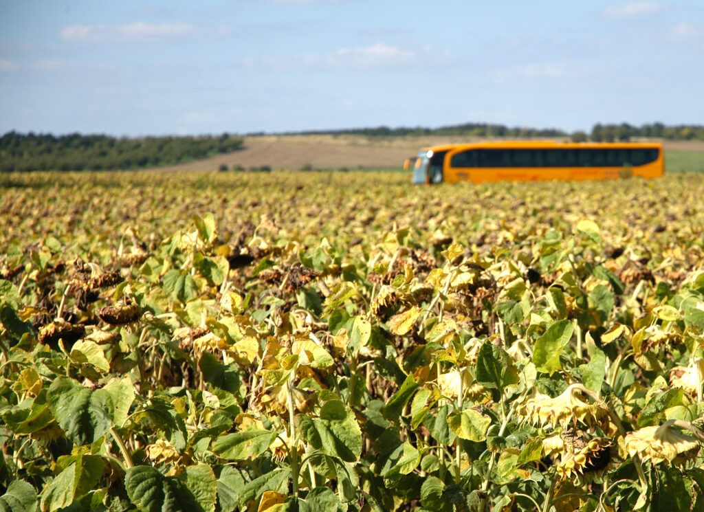 Lille bus i bytrafik med passagerer.